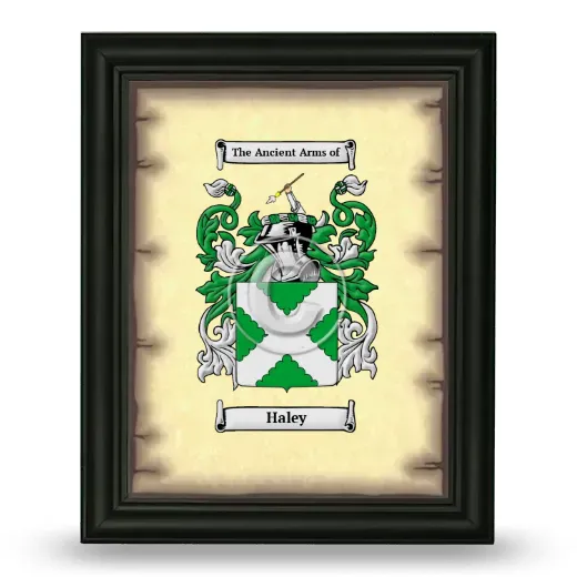 Haley Coat of Arms Framed - Black