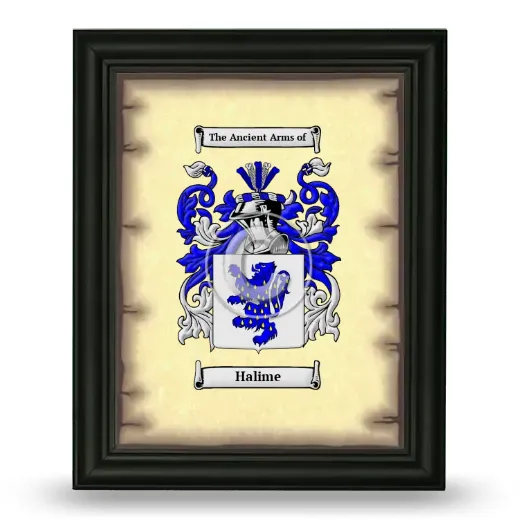 Halime Coat of Arms Framed - Black