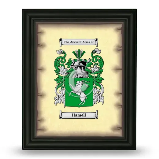 Hamell Coat of Arms Framed - Black