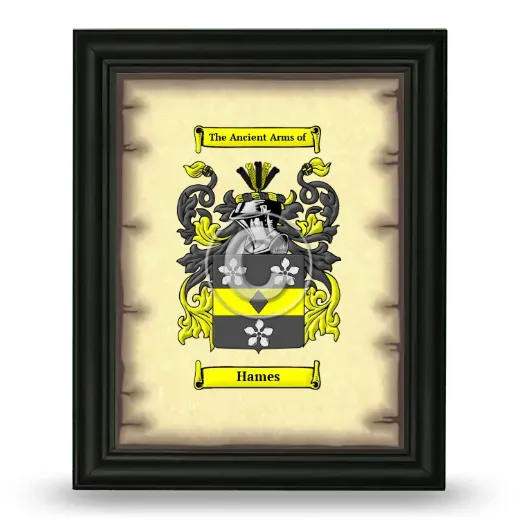 Hames Coat of Arms Framed - Black