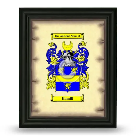 Hamill Coat of Arms Framed - Black