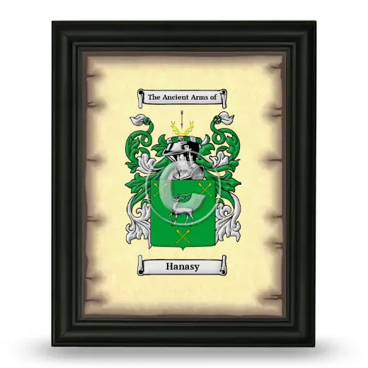 Hanasy Coat of Arms Framed - Black