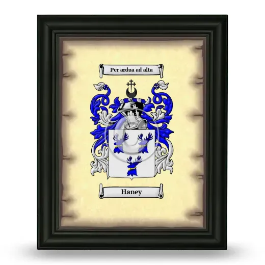 Haney Coat of Arms Framed - Black