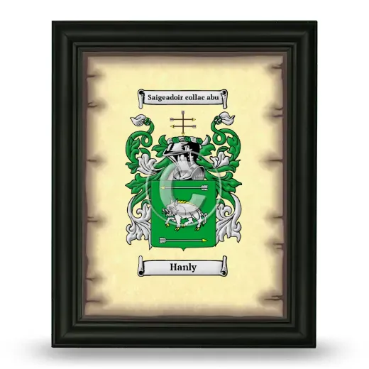 Hanly Coat of Arms Framed - Black