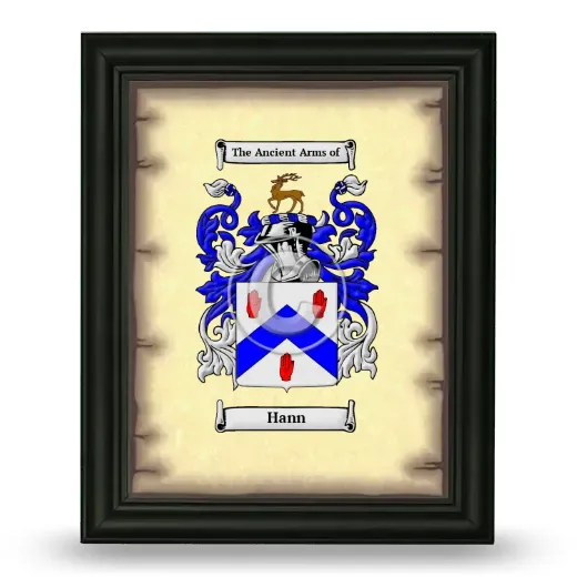 Hann Coat of Arms Framed - Black
