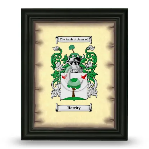 Harrity Coat of Arms Framed - Black
