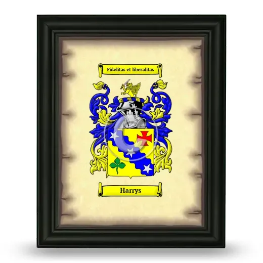 Harrys Coat of Arms Framed - Black