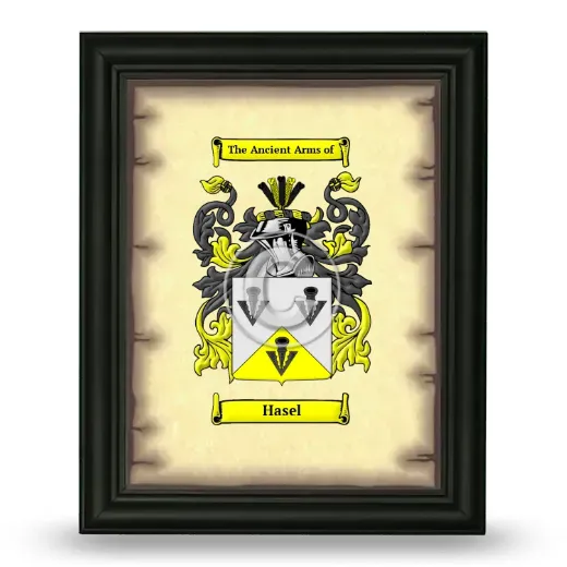 Hasel Coat of Arms Framed - Black
