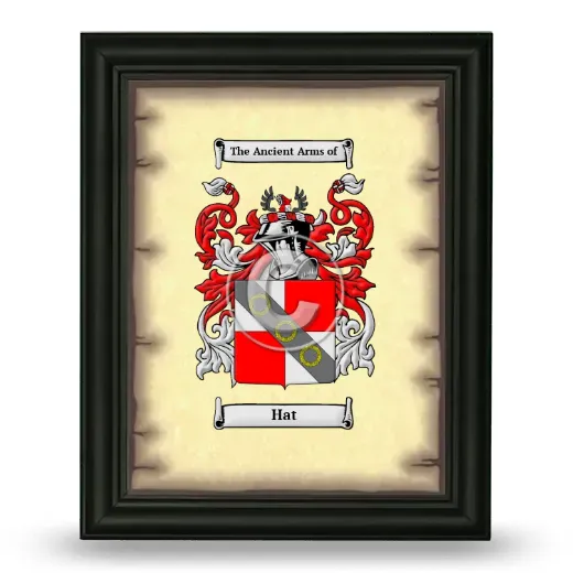 Hat Coat of Arms Framed - Black