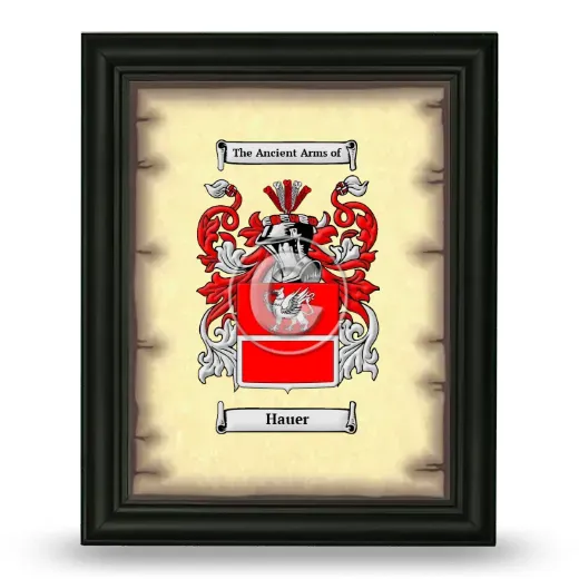 Hauer Coat of Arms Framed - Black