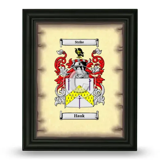 Hauk Coat of Arms Framed - Black