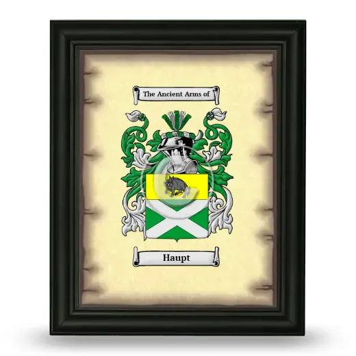 Haupt Coat of Arms Framed - Black