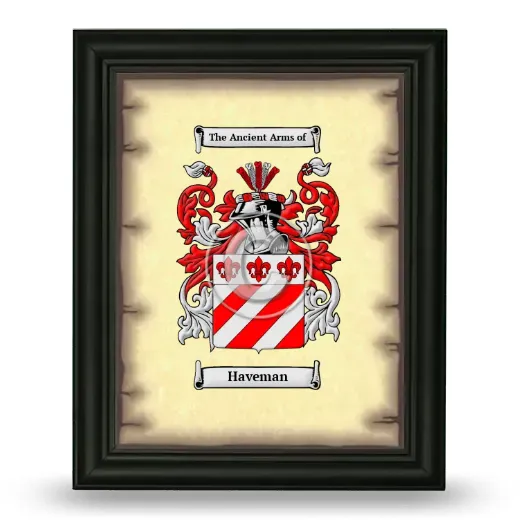 Haveman Coat of Arms Framed - Black