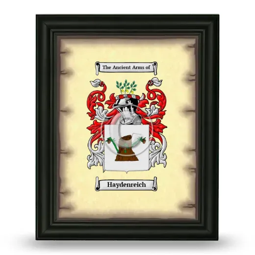 Haydenreich Coat of Arms Framed - Black