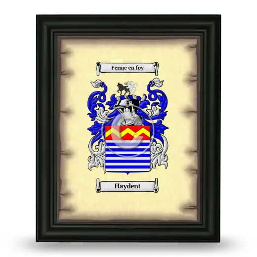 Haydent Coat of Arms Framed - Black