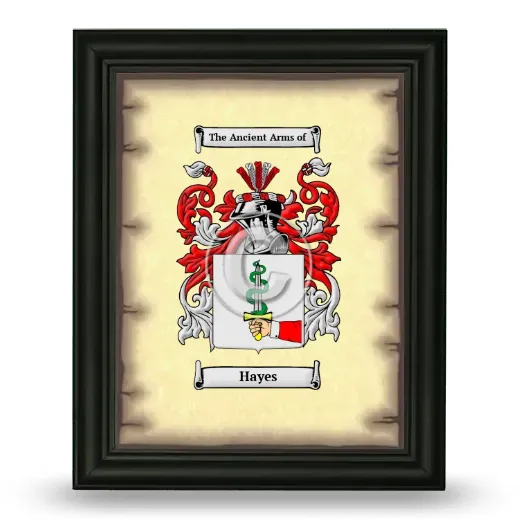 Hayes Coat of Arms Framed - Black