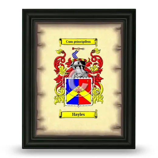 Hayles Coat of Arms Framed - Black