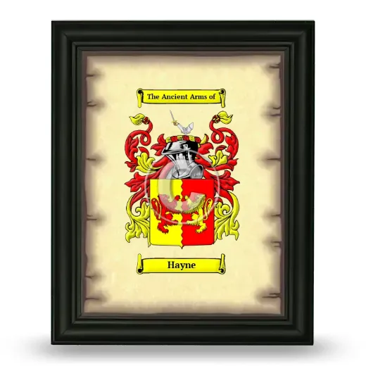 Hayne Coat of Arms Framed - Black