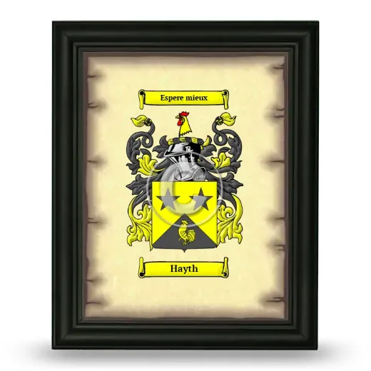 Hayth Coat of Arms Framed - Black