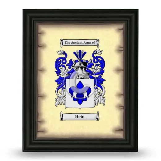 Hein Coat of Arms Framed - Black