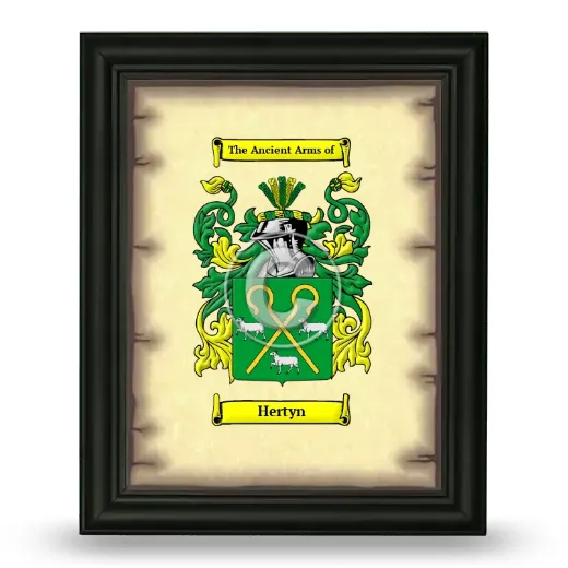 Hertyn Coat of Arms Framed - Black