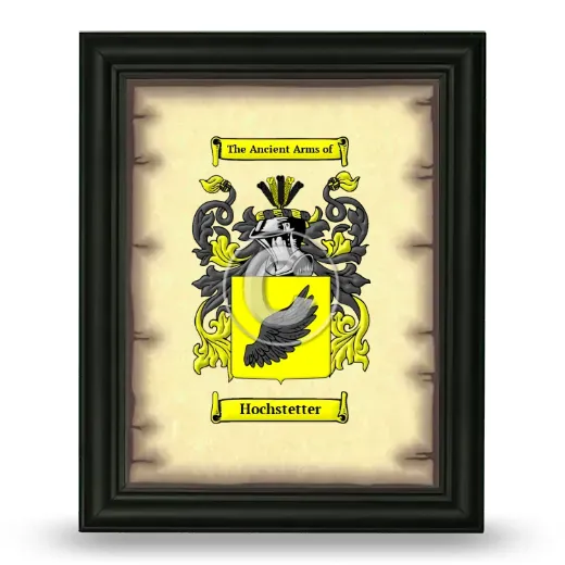 Hochstetter Coat of Arms Framed - Black