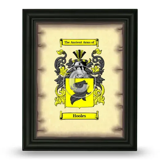 Hooles Coat of Arms Framed - Black