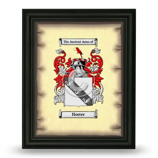 Hoster Coat of Arms Framed - Black