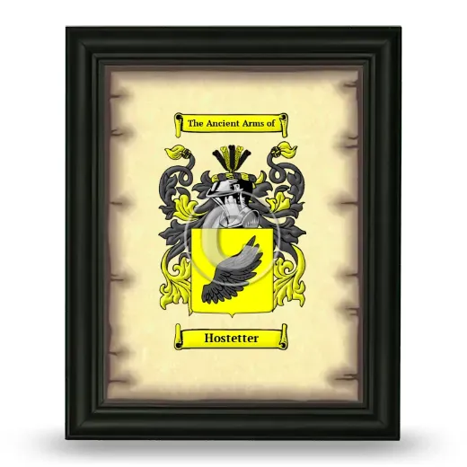 Hostetter Coat of Arms Framed - Black