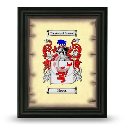 Hoyos Coat of Arms Framed - Black