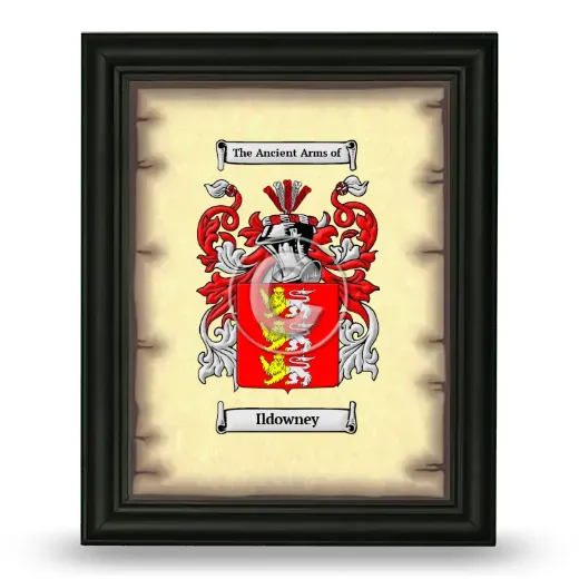 Ildowney Coat of Arms Framed - Black