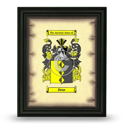 Ilene Coat of Arms Framed - Black