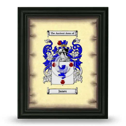 Janes Coat of Arms Framed - Black