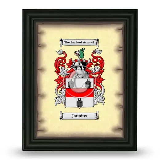 Jannins Coat of Arms Framed - Black