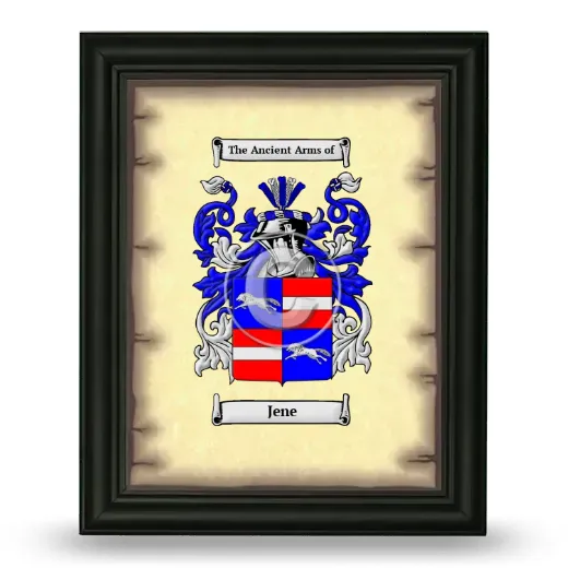 Jene Coat of Arms Framed - Black