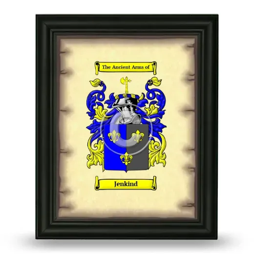 Jenkind Coat of Arms Framed - Black
