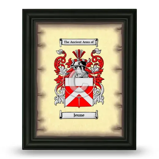 Jeune Coat of Arms Framed - Black