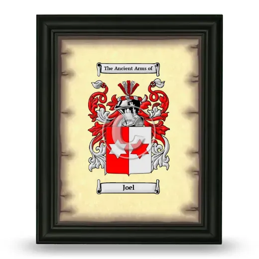 Joel Coat of Arms Framed - Black