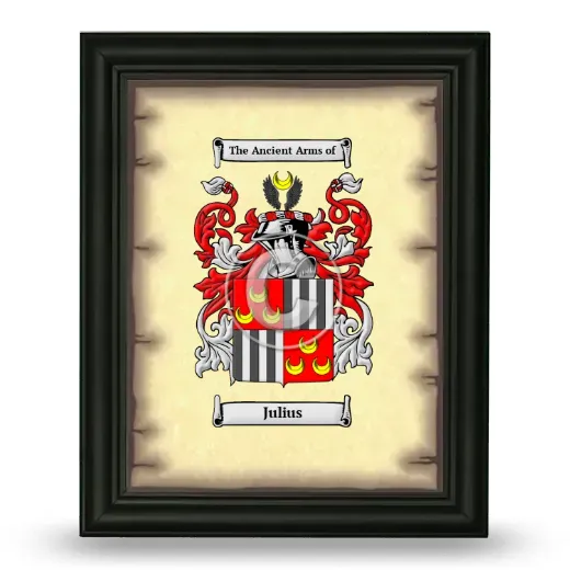 Julius Coat of Arms Framed - Black
