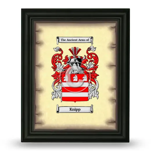 Knipp Coat of Arms Framed - Black