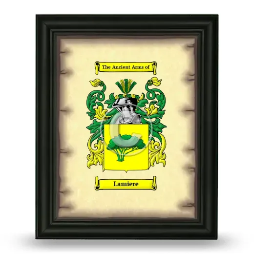 Lamiere Coat of Arms Framed - Black