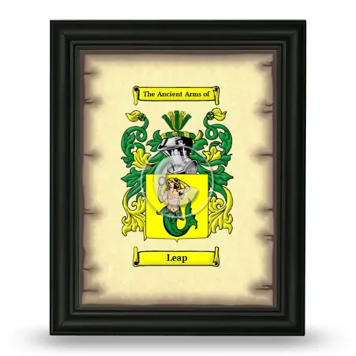 Leap Coat of Arms Framed - Black