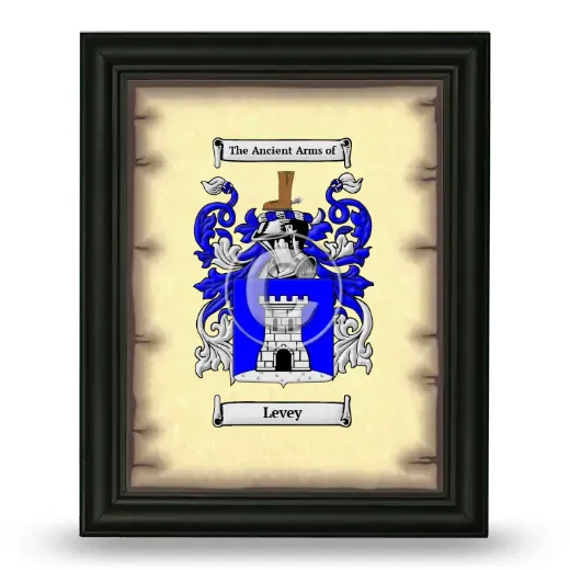 Levey Coat of Arms Framed - Black