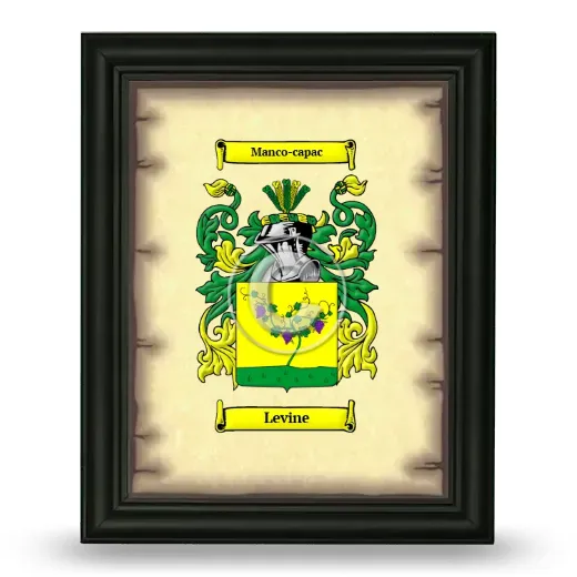 Levine Coat of Arms Framed - Black