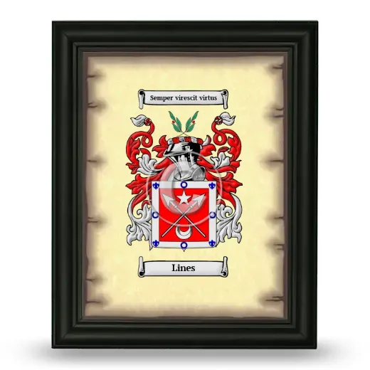 Lines Coat of Arms Framed - Black