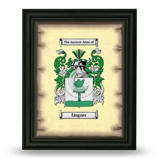 Lingner Coat of Arms Framed - Black