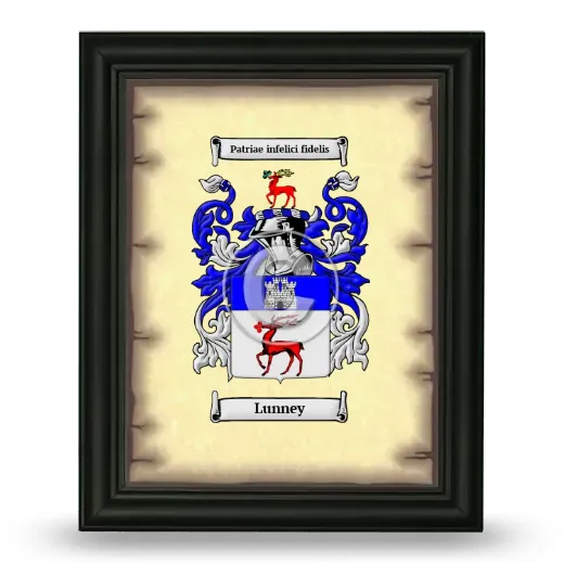 Lunney Coat of Arms Framed - Black