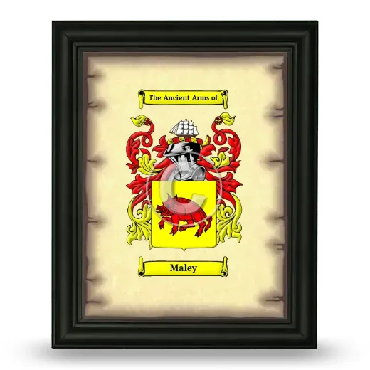 Maley Coat of Arms Framed - Black