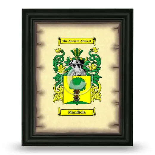 Mandiola Coat of Arms Framed - Black