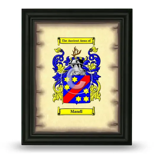 Mandl Coat of Arms Framed - Black
